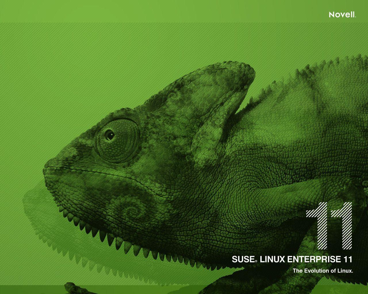 Download Awesome Suse Linux Roadshow Wallpaper. Full HD Wallpaper
