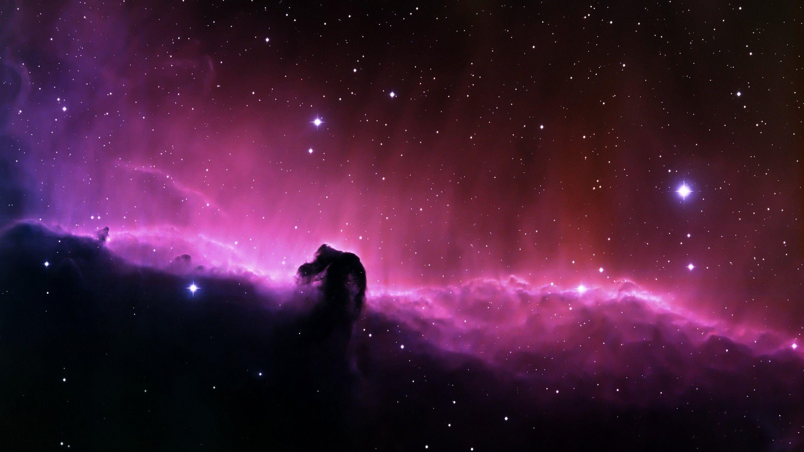 Beautiful purple nebula in space Wallpaperx1440 resolution