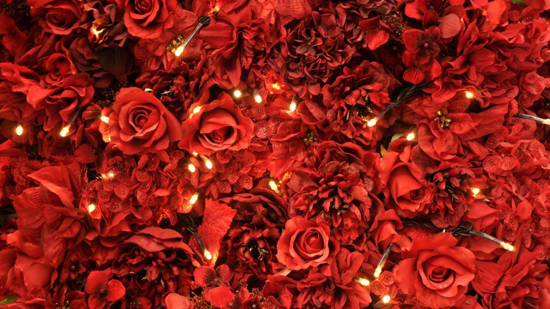 Red Roses Lights Wallpaper