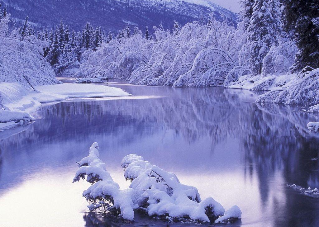 Snow Wallpaper. Free Download HD Wallpaper