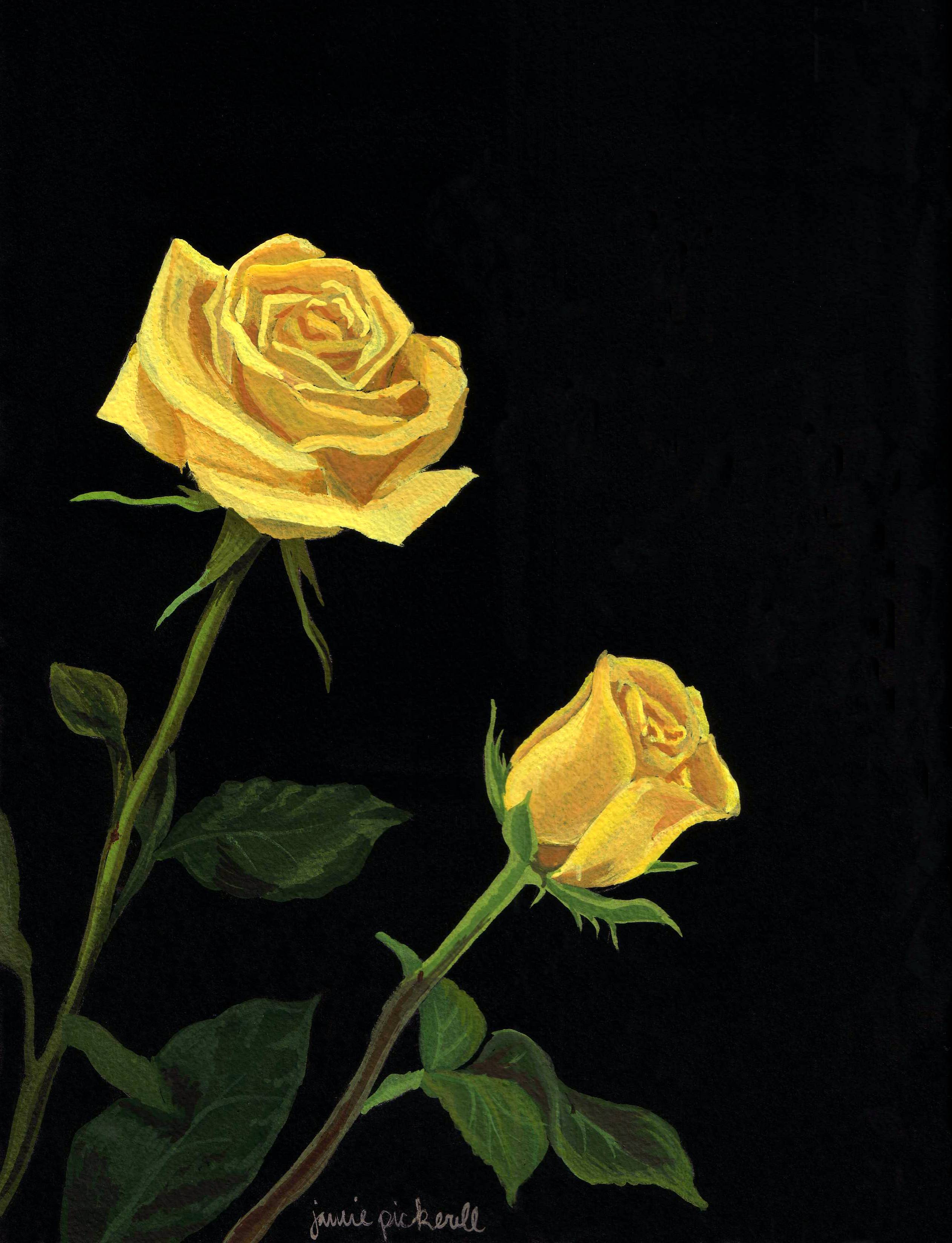 Yellow Roses Backgrounds - Wallpaper Cave