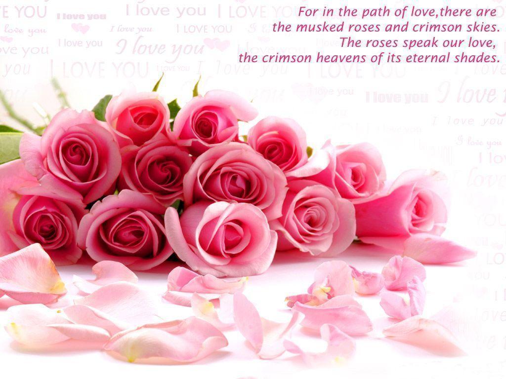 Good Morning With Pink Roses Desktop Wallpaper