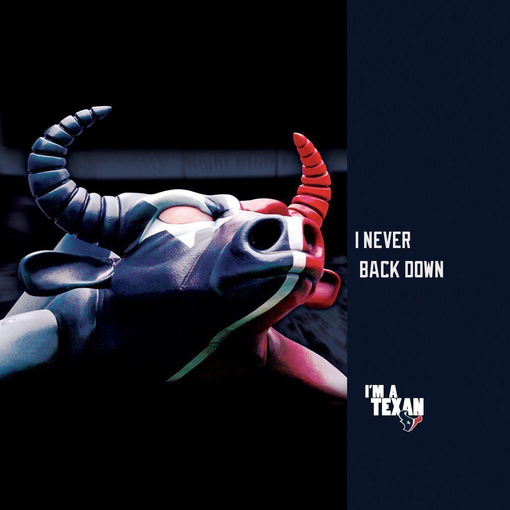 Houston Texans Bullheadlarge