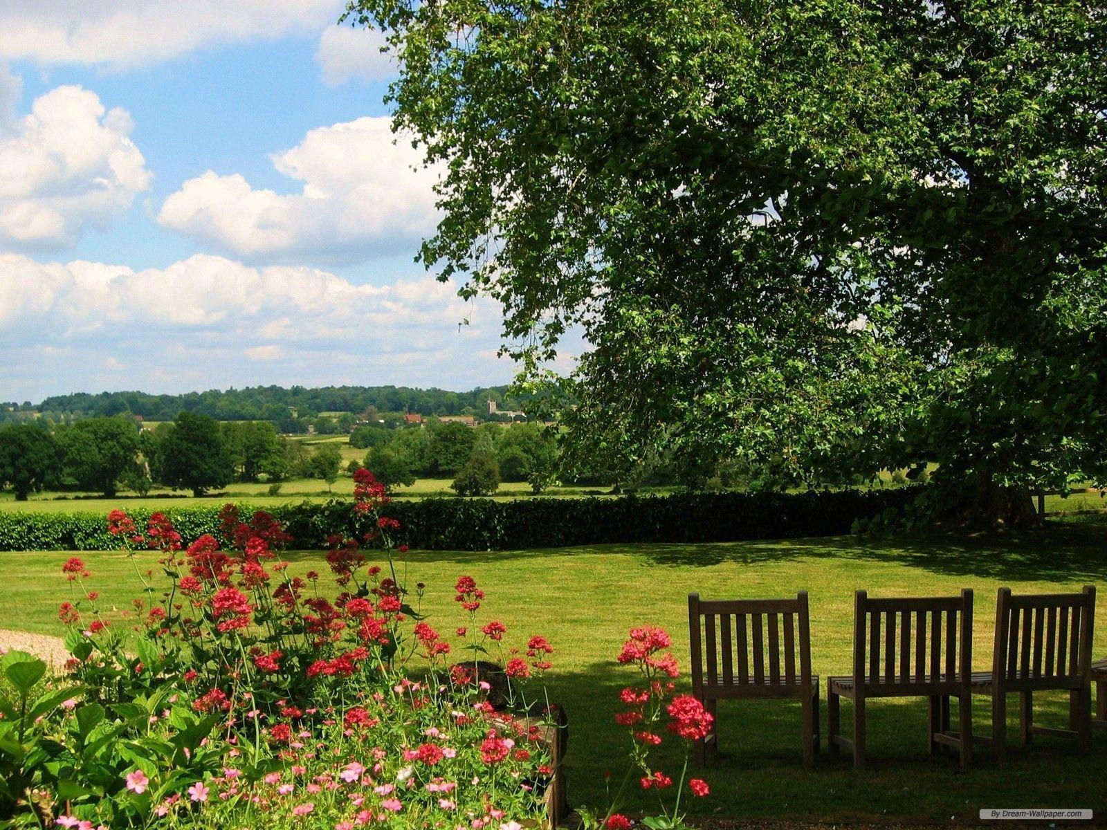 Free Wallpaper Nature wallpaper Hill Garden