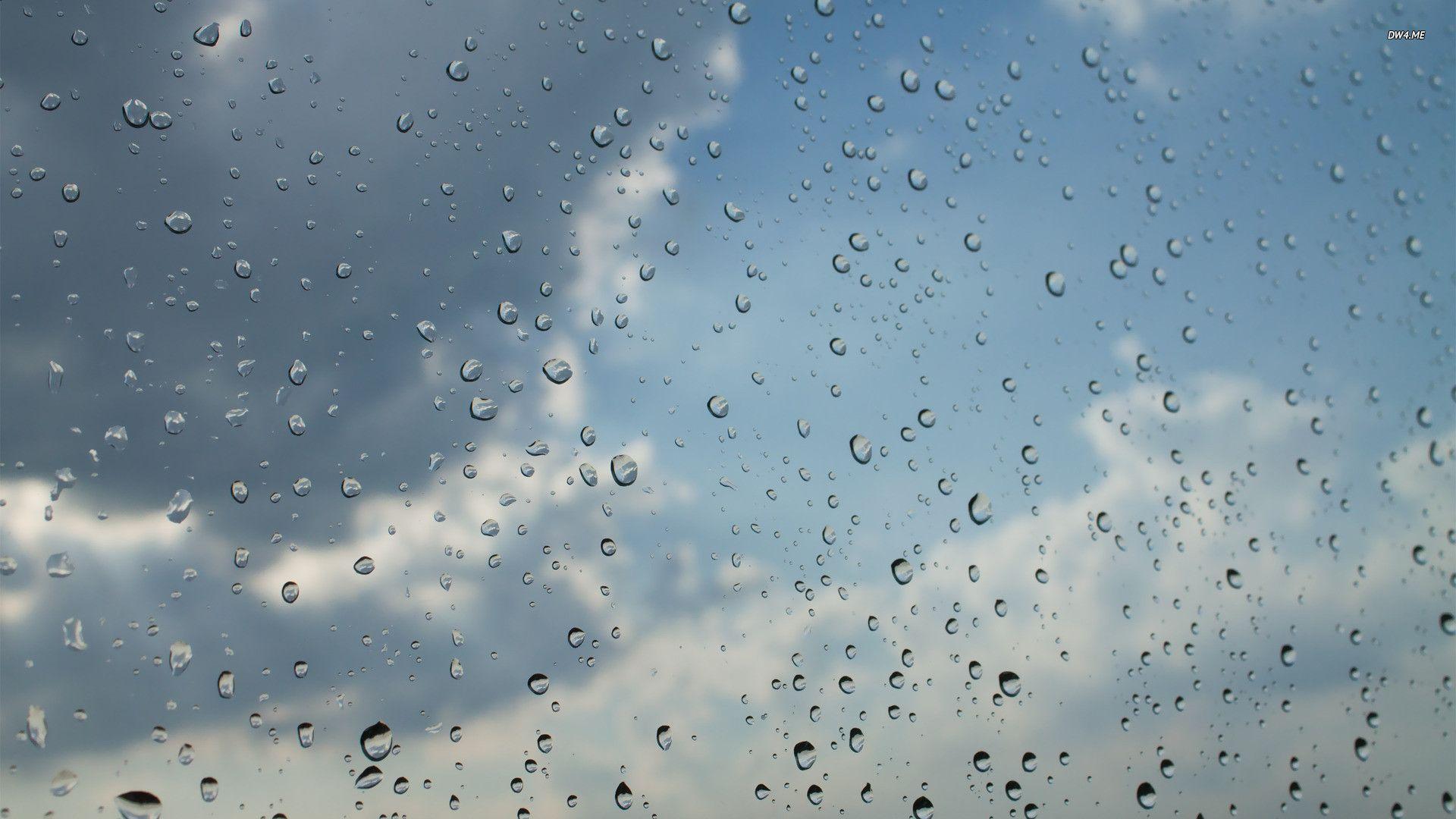 photos of raindrops