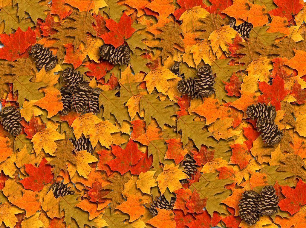 Fall Computer 3 Wallpaper and Background
