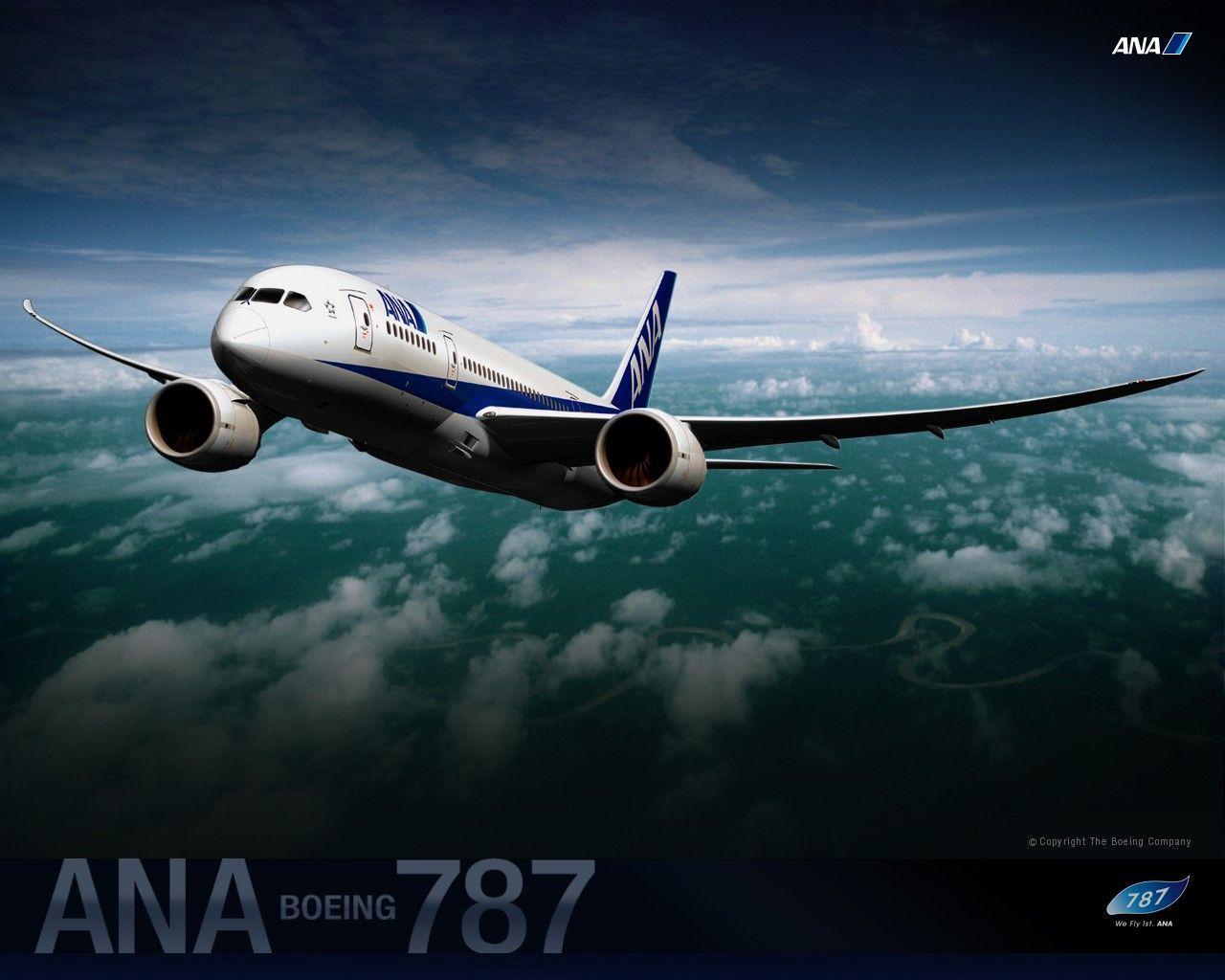 ANA All Nippon Airways Boeing Dreamliner wallpaper 30299