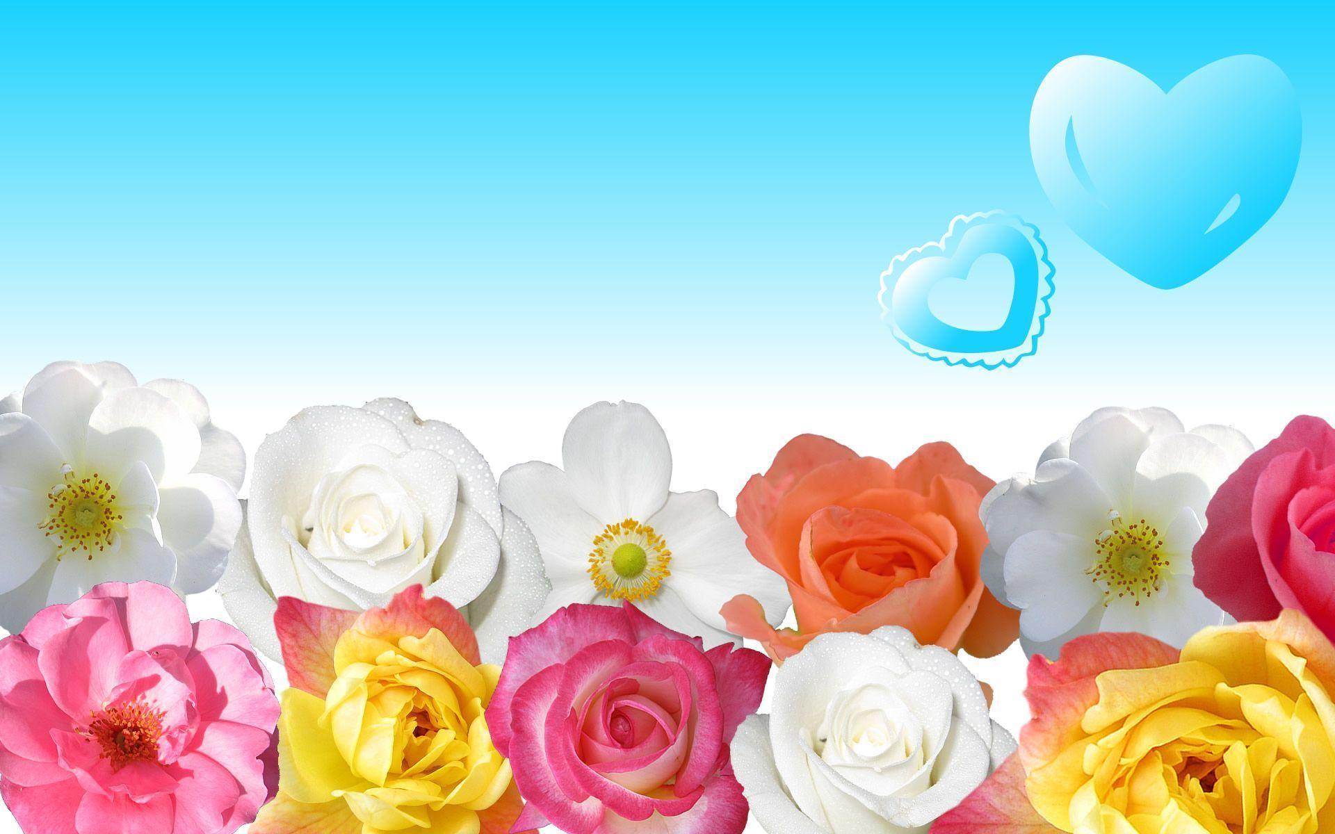 Computer Background Flowers