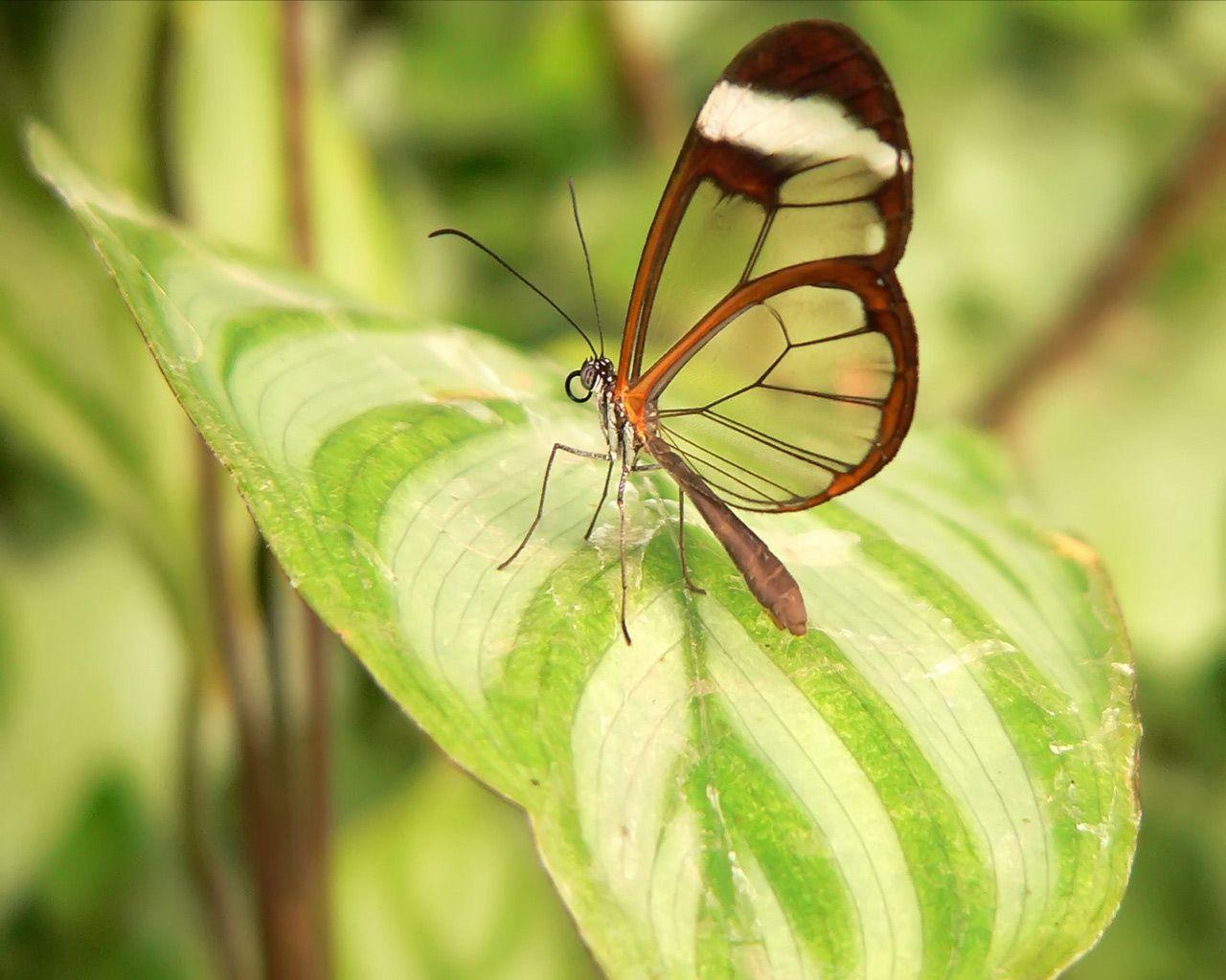 Taboo Wallpapers - Wallpaper Cave