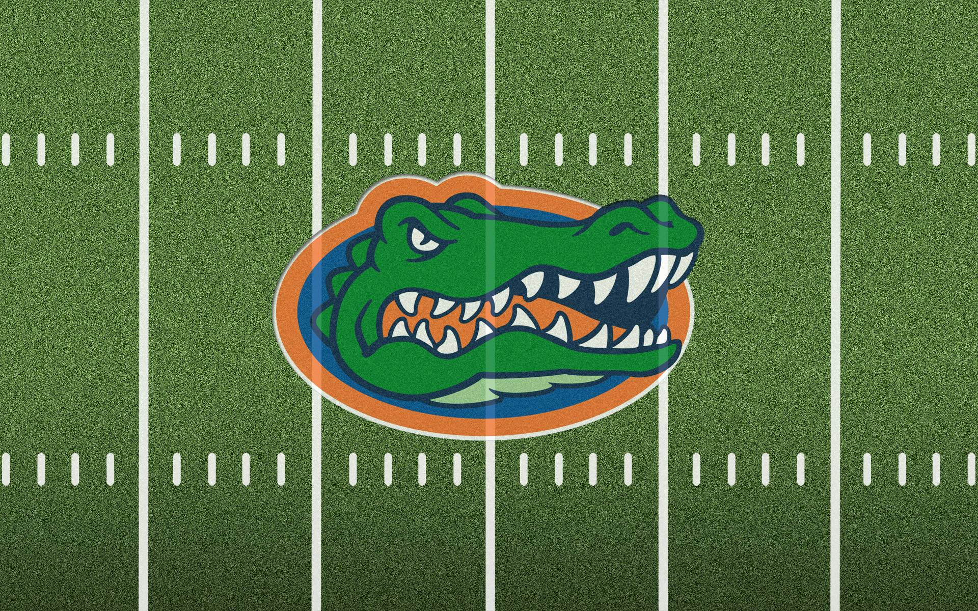American Football Field Backgrounds Florida Gators Football