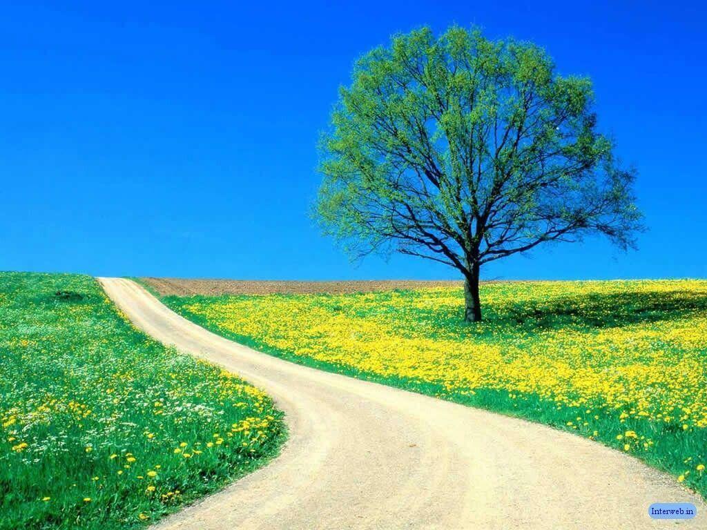 Beautiful Nature Wallpaper Collections Wallpaper Download