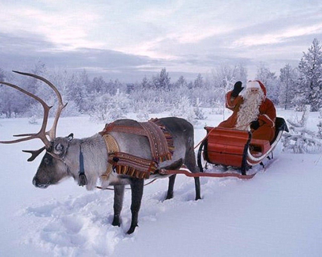 Santa and His Reindeer widescreen wallpaper. Wide