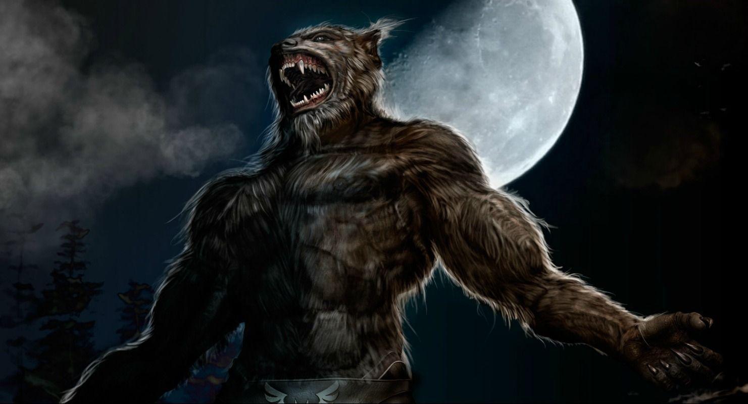 Wallpaper For > Cool Werewolf Wallpaper