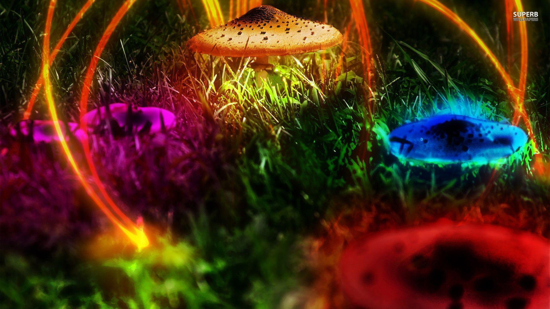 Colorful mushrooms wallpaper Art wallpaper - #