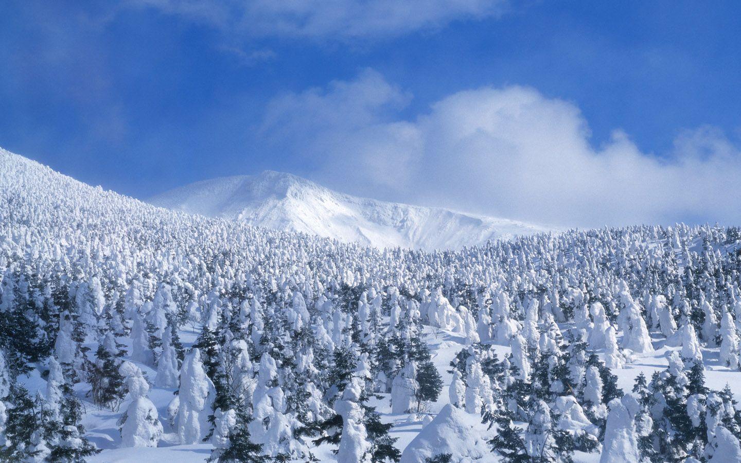Winter Snow Wallpaper 15 36816 Image HD Wallpaper. Wallfoy.com