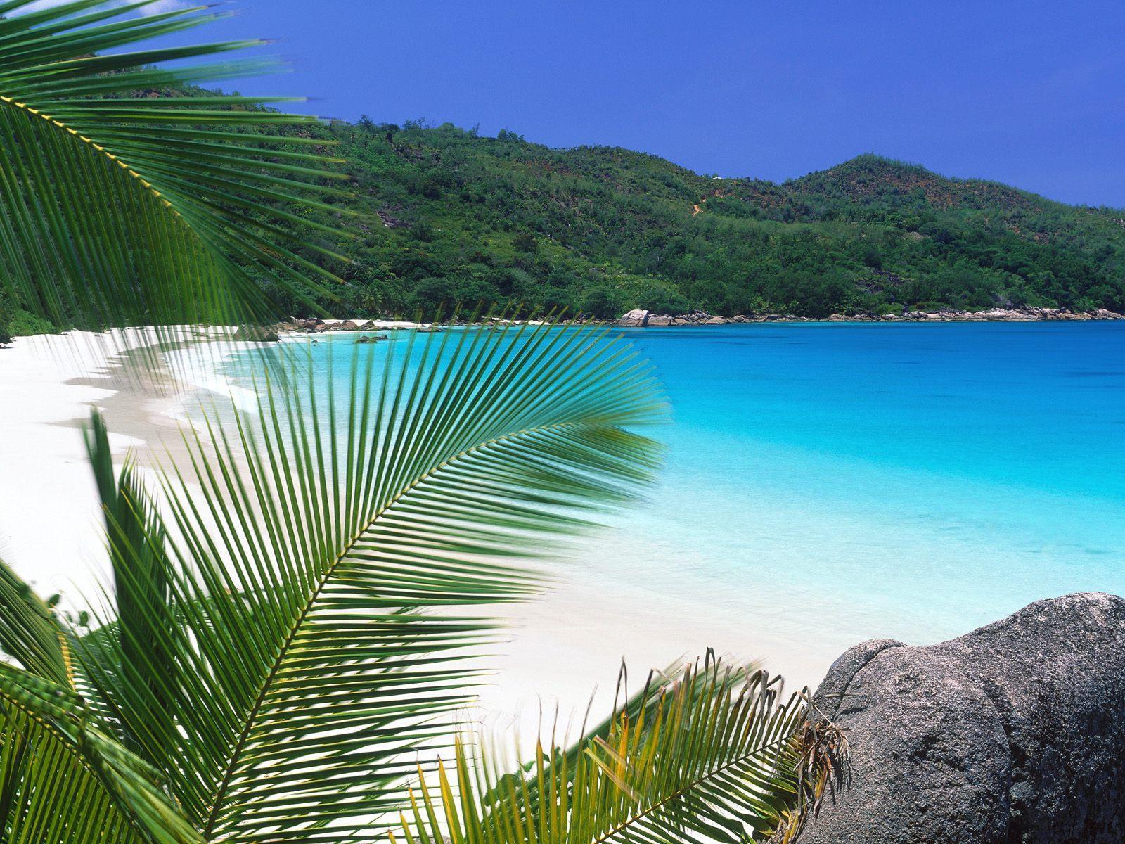 Tropical retreat Seychelles Islands free desktop background