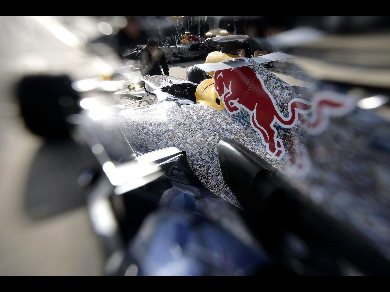 Red Bull RB3 F1 for Charity Wings for Life 7