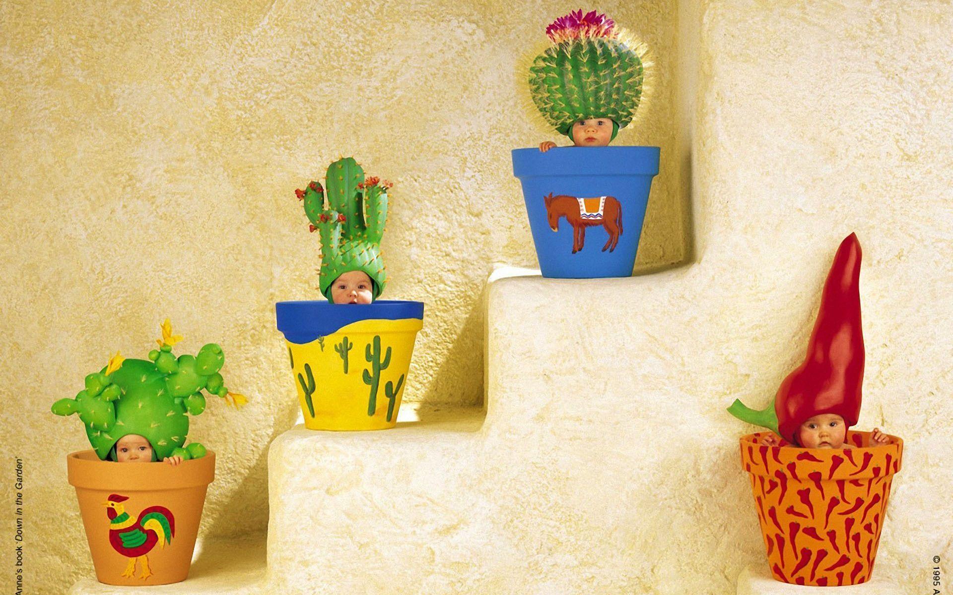 HD Potted Cactus Babies Wallpaper