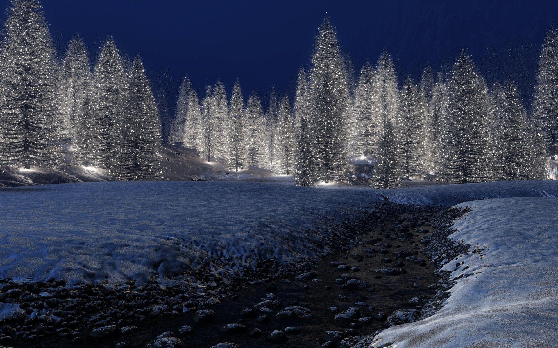Winter Scene 3d