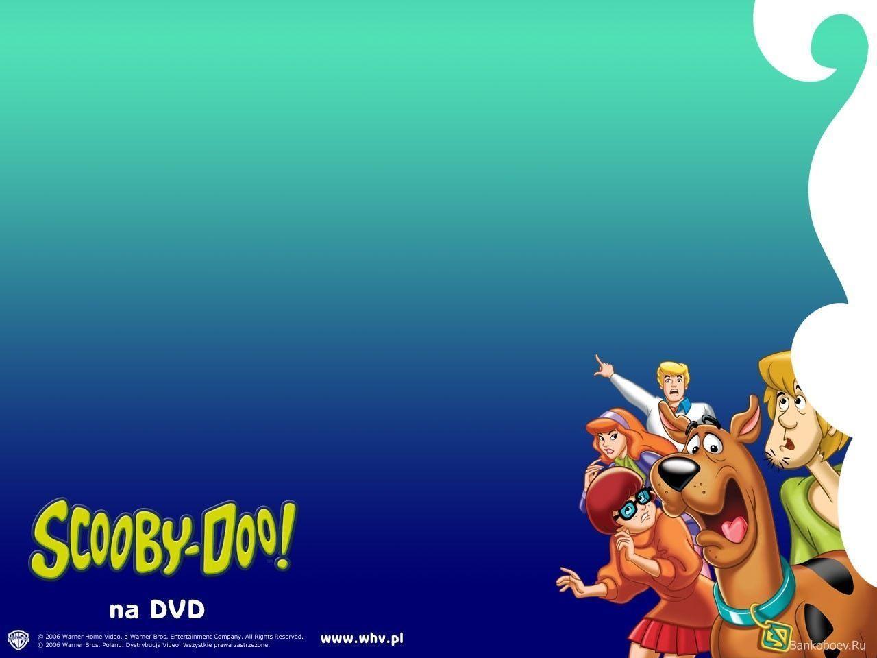 ScoobyDoo Disney Cartoon Wallpaper Border  Blue Brown Orange  Kids  Baby Room Roll 15 x 675  Amazonin Home Improvement