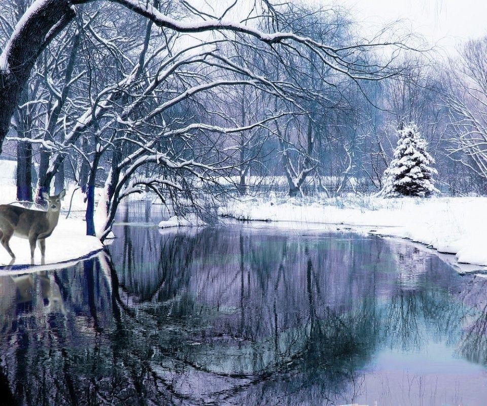 winter scenery backgrounds