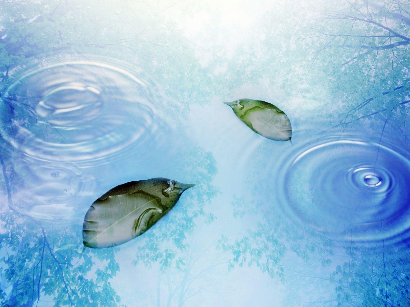 Desktop Wallpaper · Gallery · Windows 7 · Windows 7 desktop