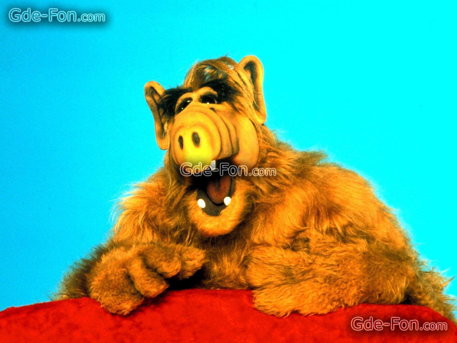 Download wallpaper Альф, ALF, film, movies free desktop wallpaper