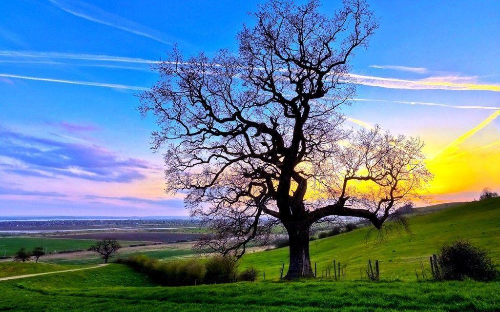 Magnificent Nature Wallpaper Download Free for Pc 1152x864PX