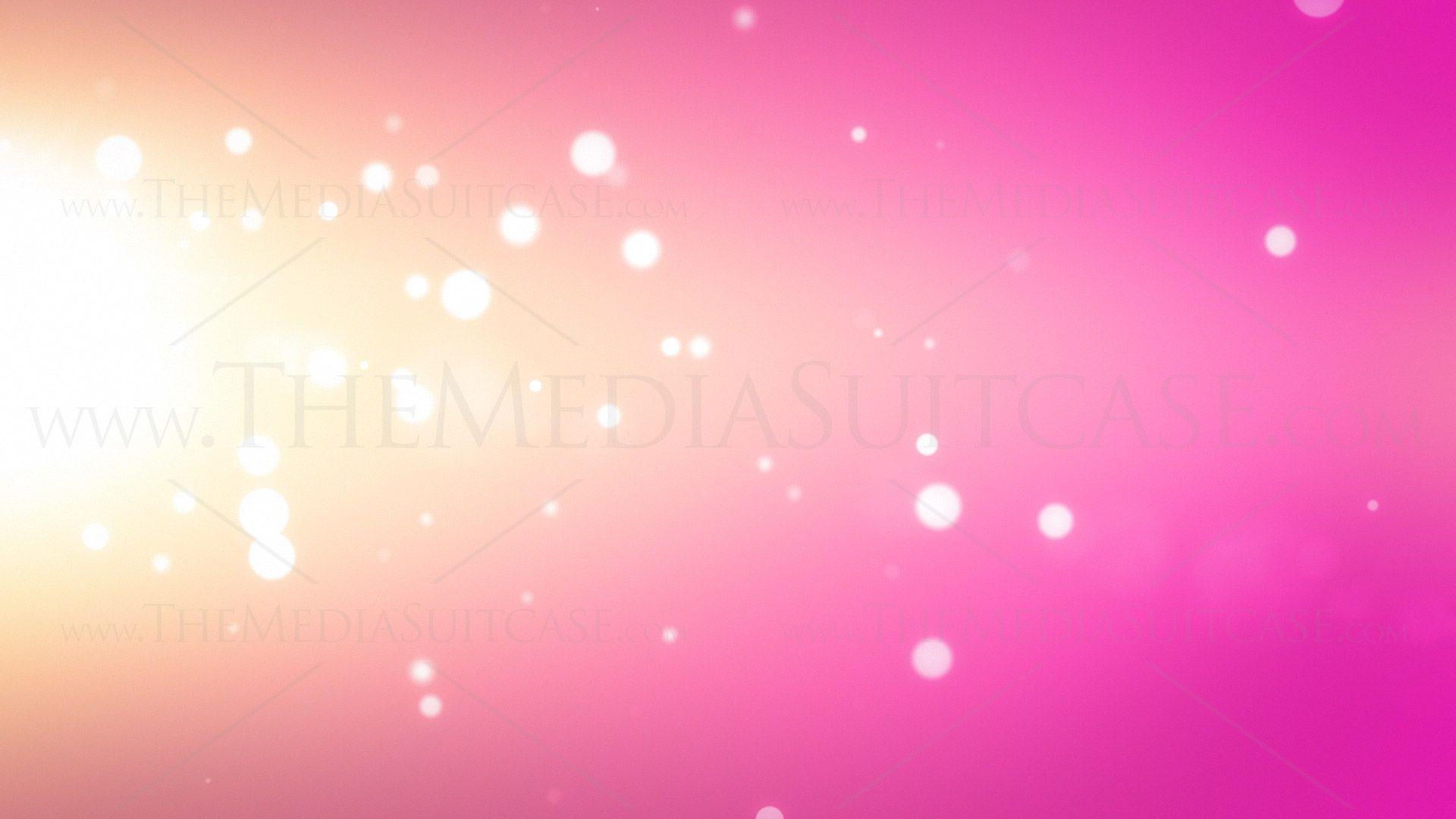Pink Background Royalty Free Video Loops