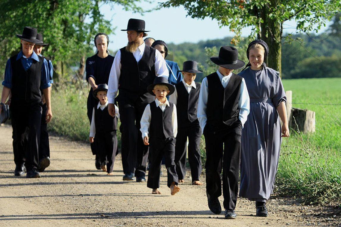 Family Takes A Wagon Through A Cornfield Background, Amish Pictures, Amish,  Pennsylvania Background Image And Wallpaper for Free Download