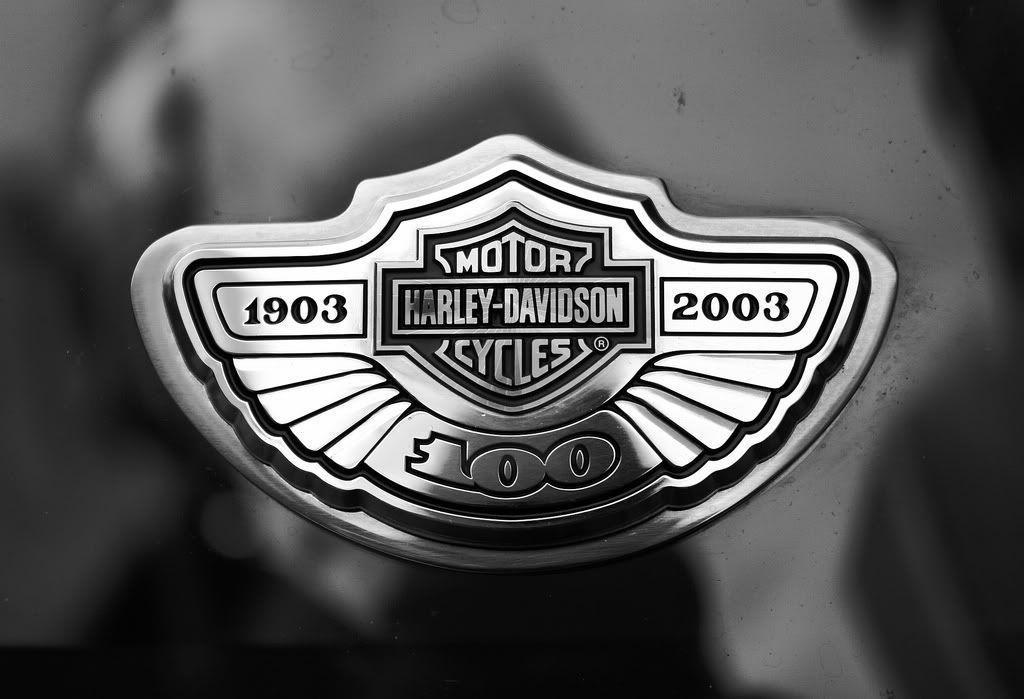 Harley Davidson Logo Grey 3D Wallpaper HD Wallpaper