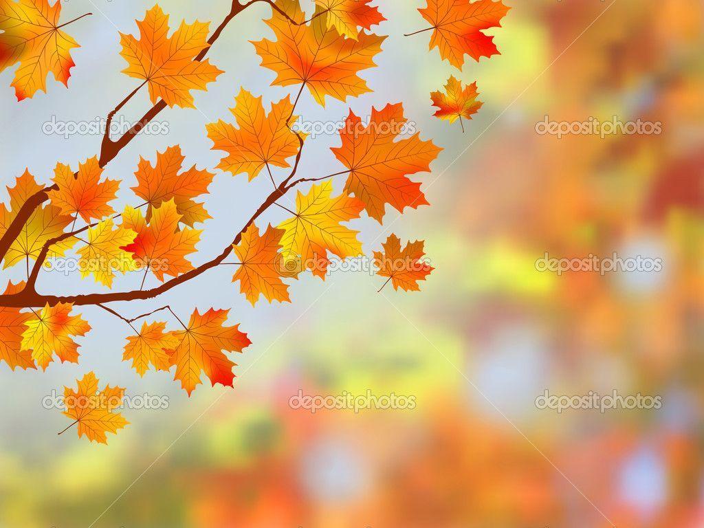 Colorful Autumn Leaves Background 1 HD Wallpaper. Natureimgz