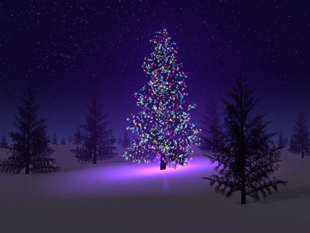 Amazing Christmas Wallpaper For Your Celebration. Web Design