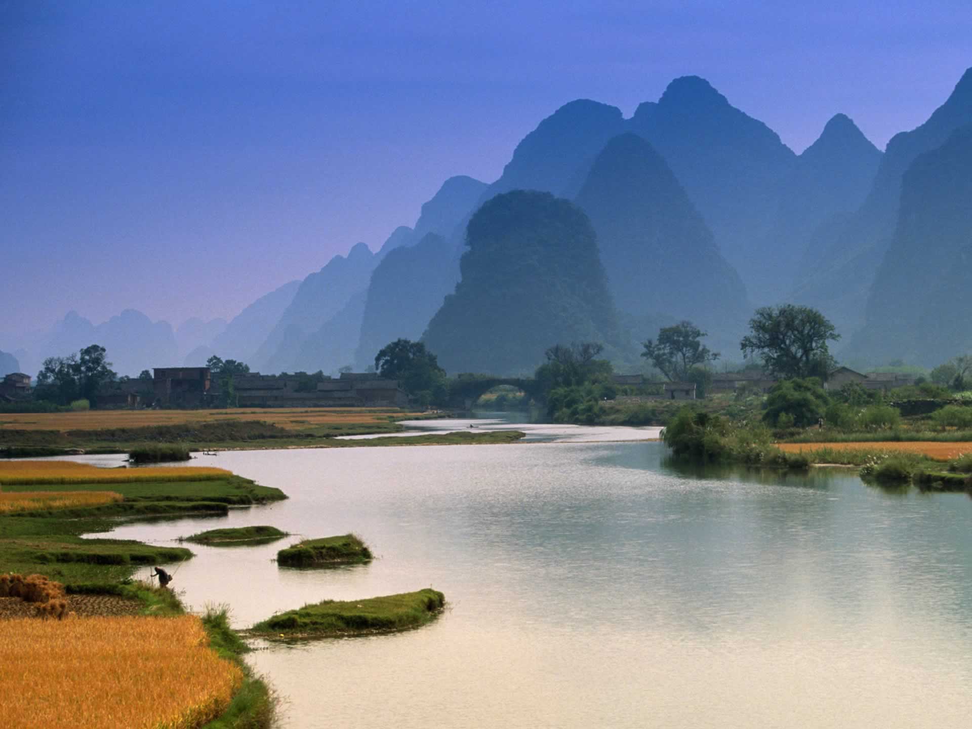 Nature Picture Desktop
