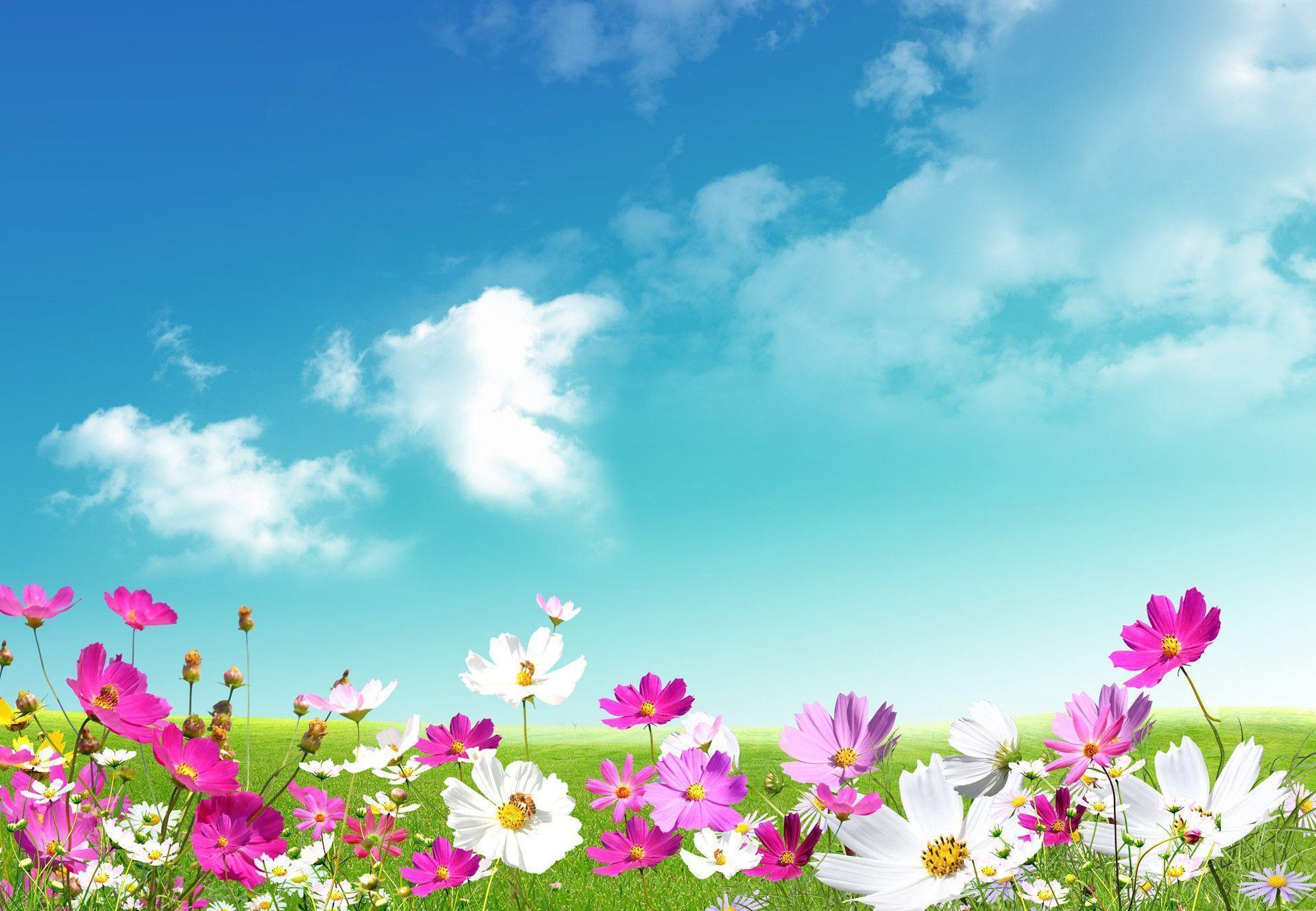 image For > Springtime Background Desktop