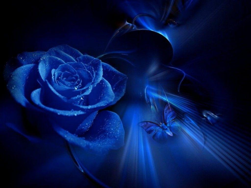 Blue Beauty Wallpaper