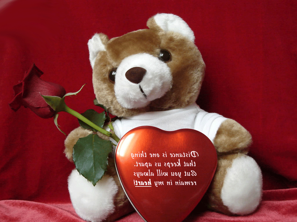 fall in love wallpaper