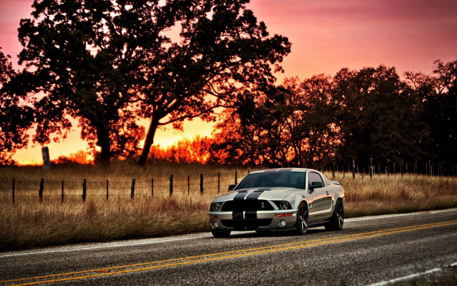 Ford Mustang Shelby GT500 Muscle Car Wallpaper. Top Cars