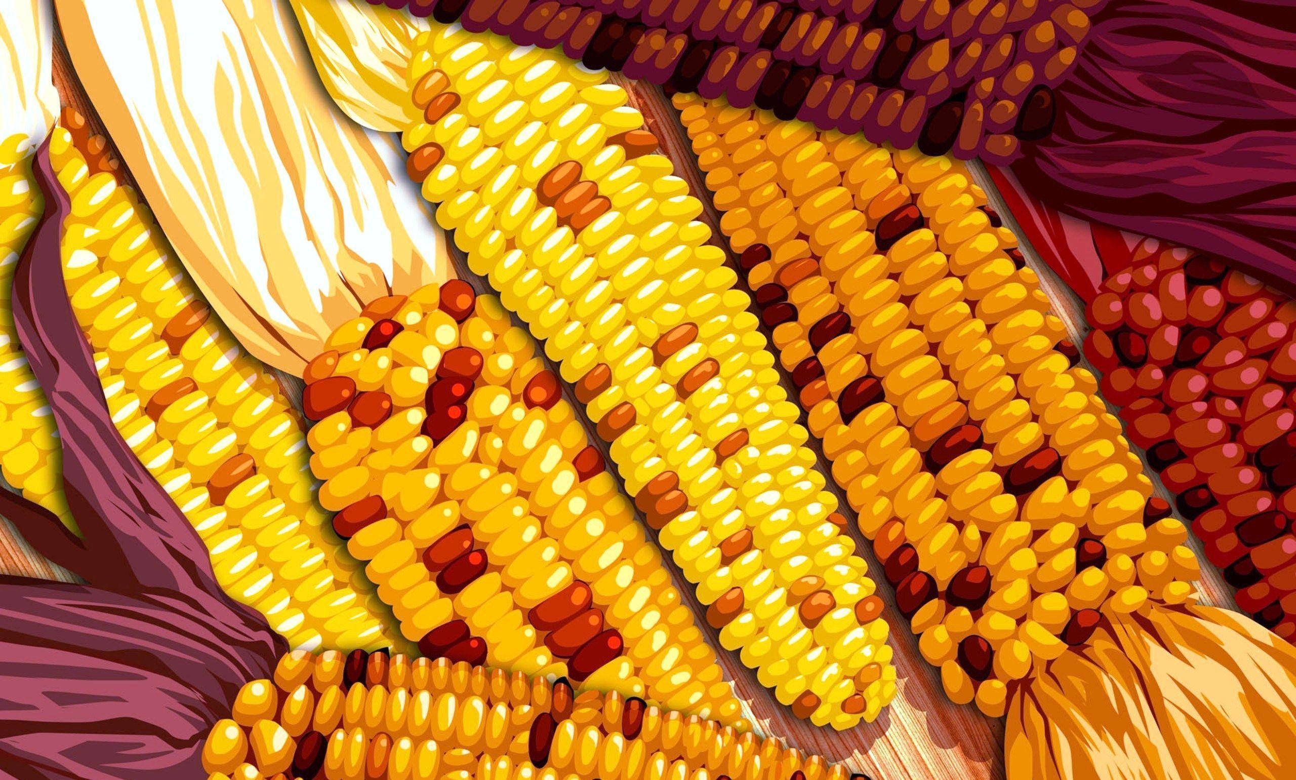 thanksgiving screensavers wallpaper Lol. Love and Cute