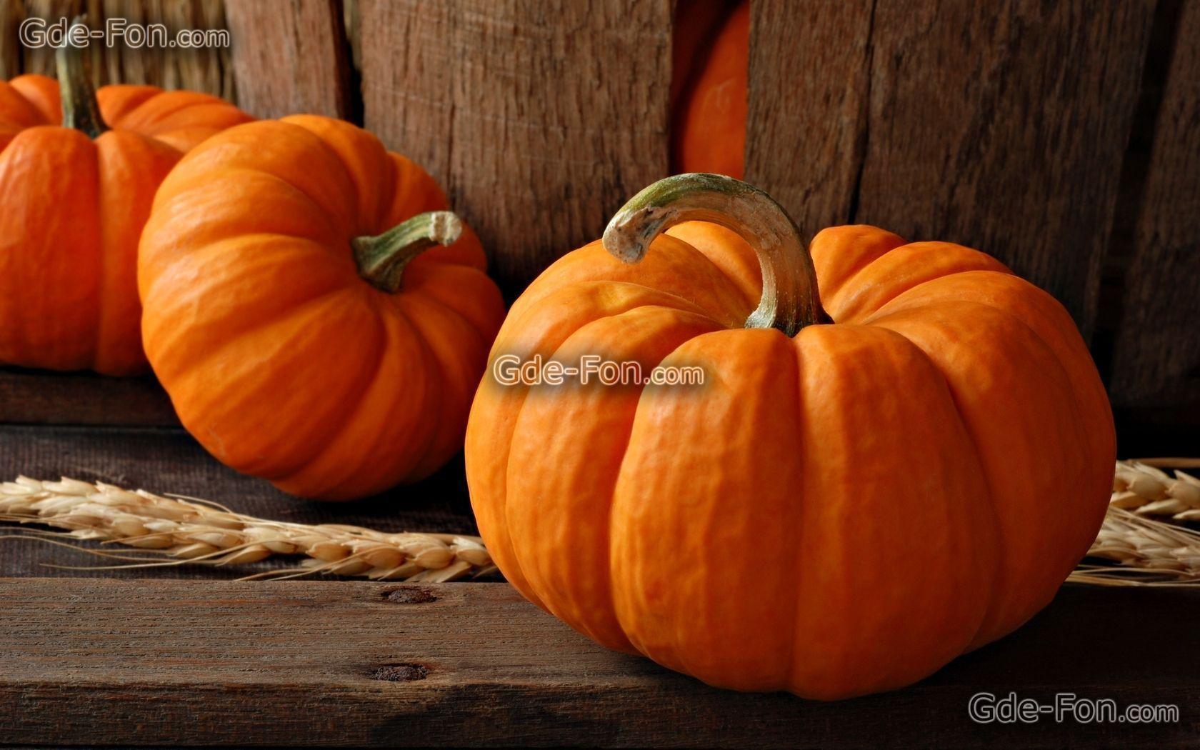 Pretty Pumpkin Desktop Wallpaper Image & Picture