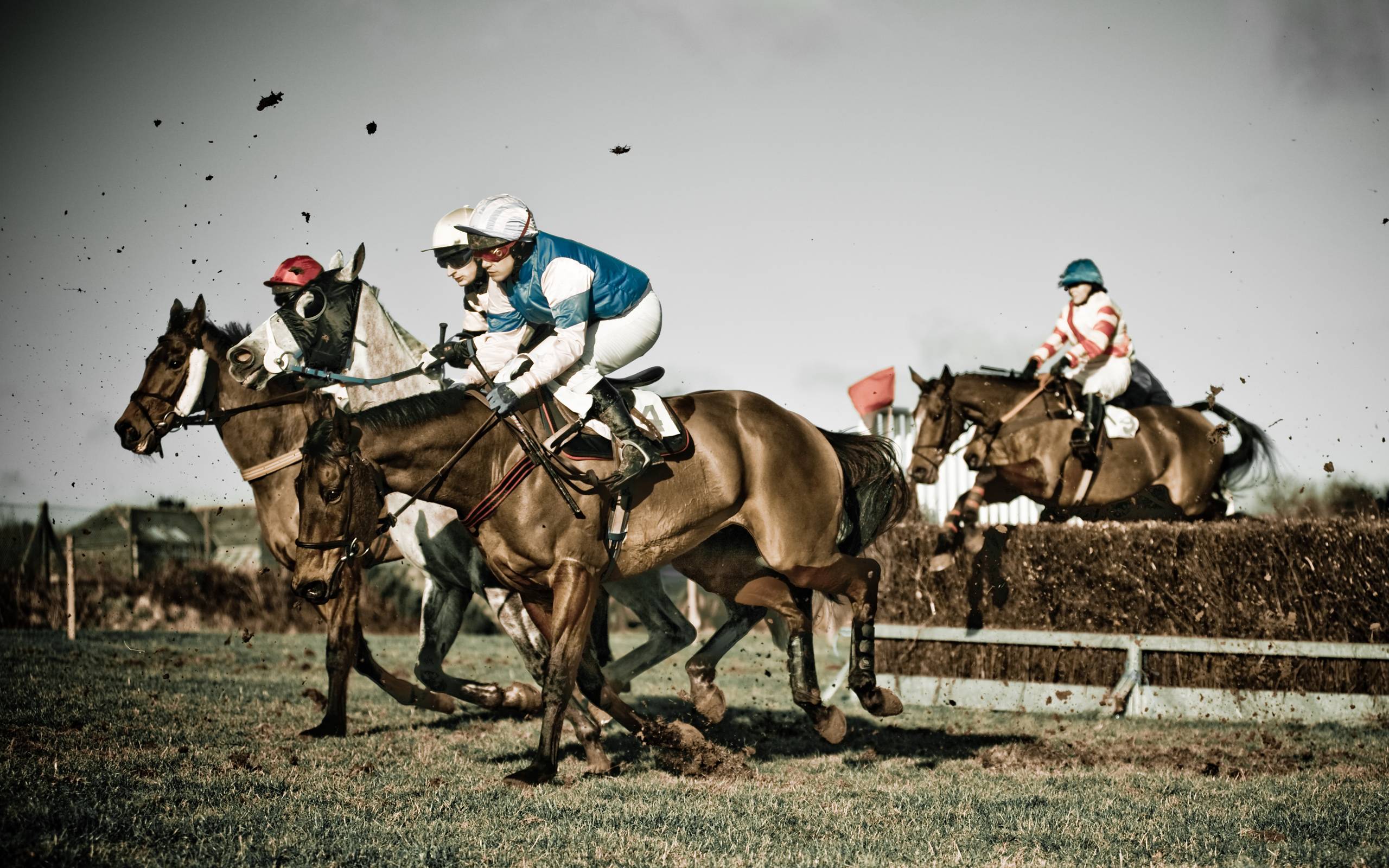 horse racing wallpaper
