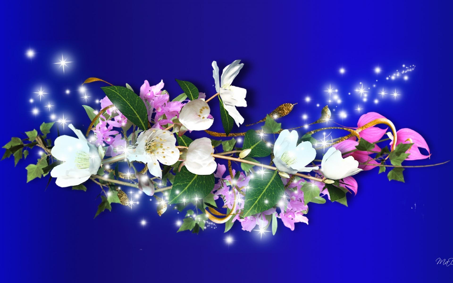 Stars Flowers Image of wallpaper 1920x1200 windows HD wallpaper#