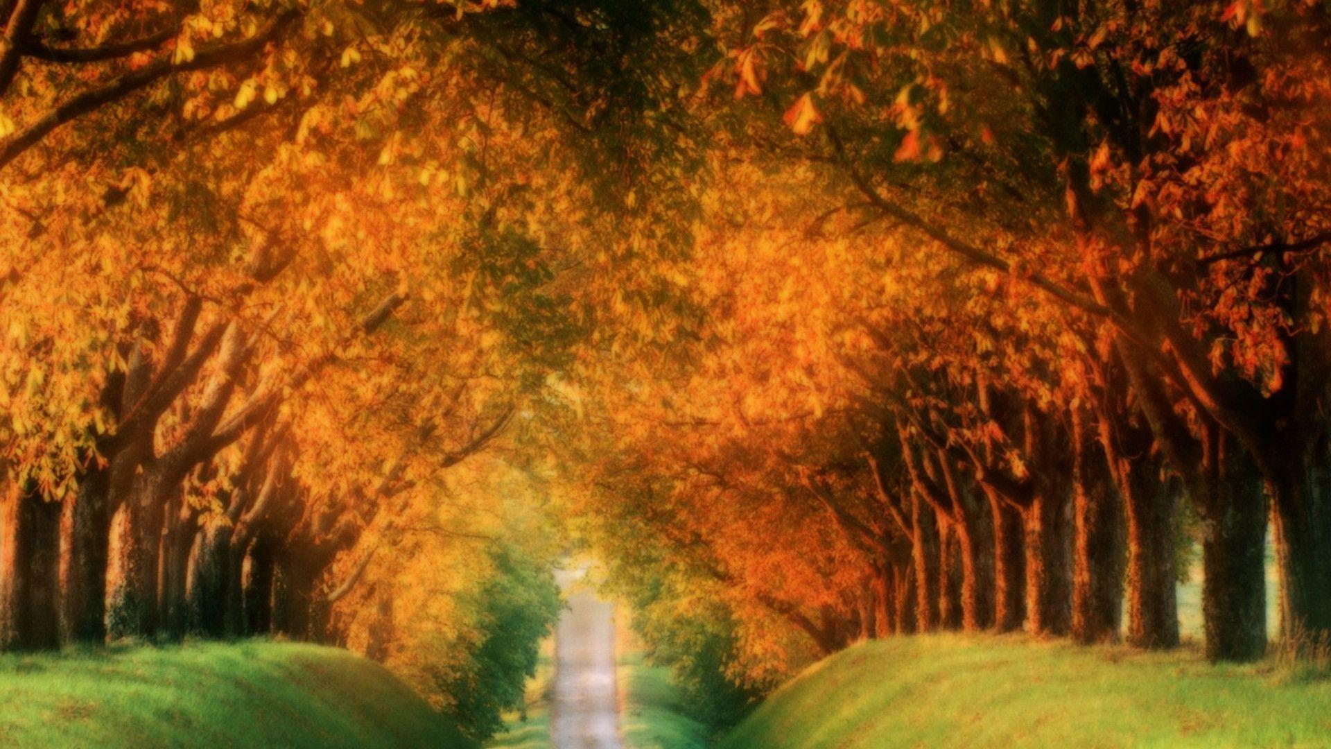 Wallpaper Desk. HDPaperz