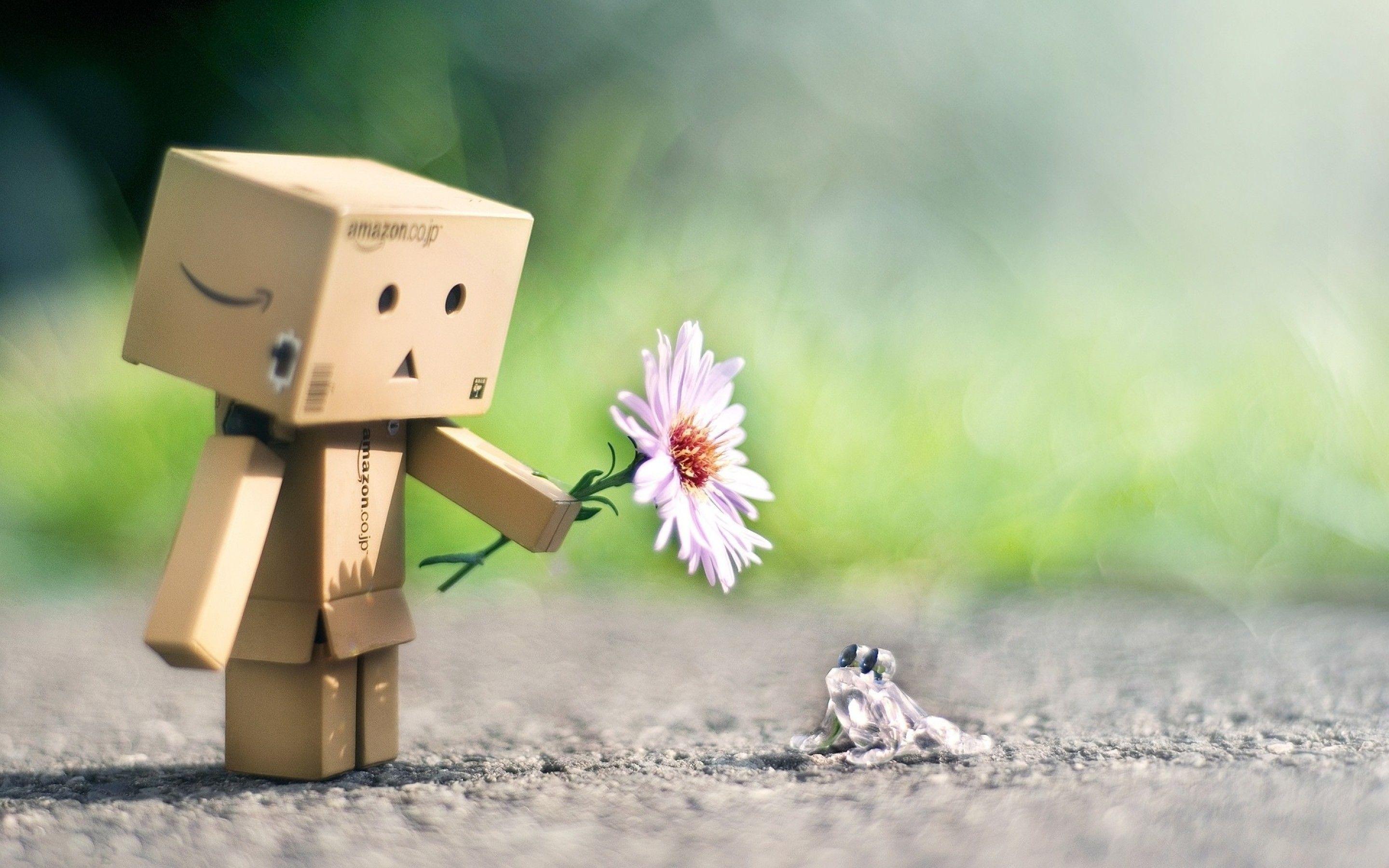 Cute Danbo And Frog Friendship Picture Wallpaper