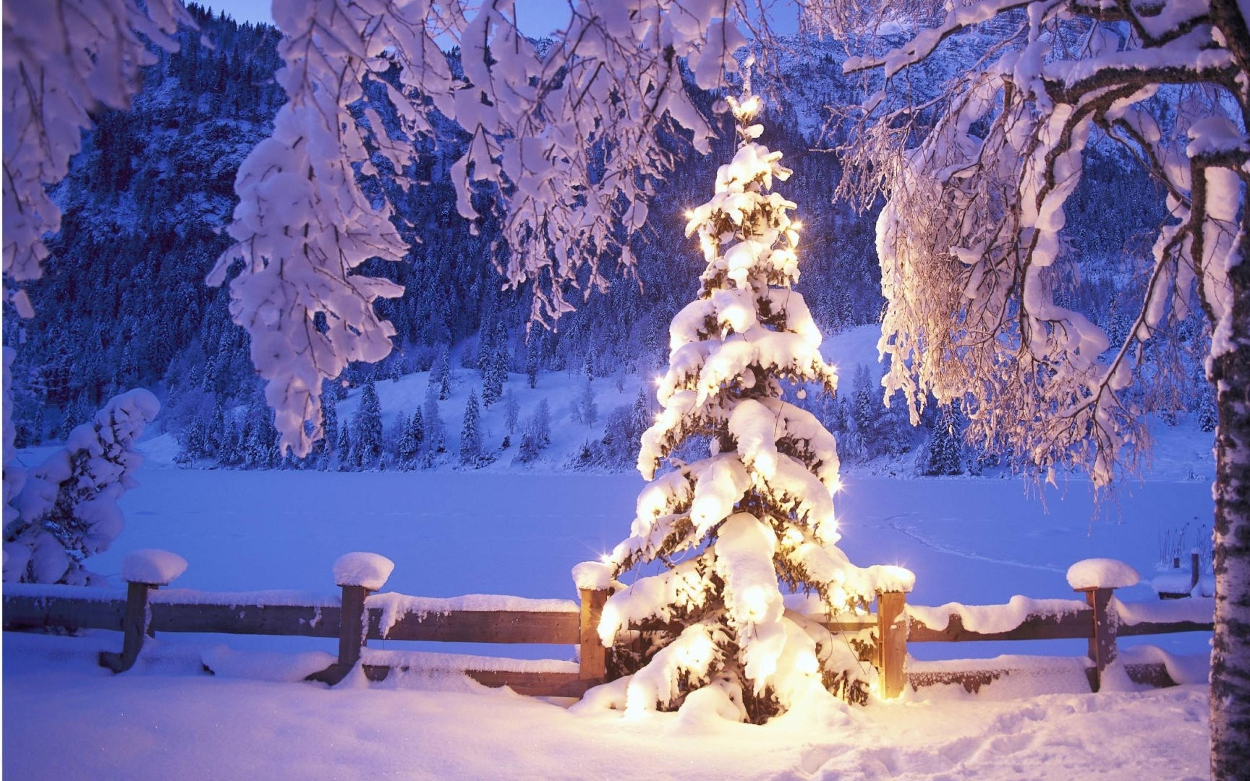 image For > Christmas Scene Background