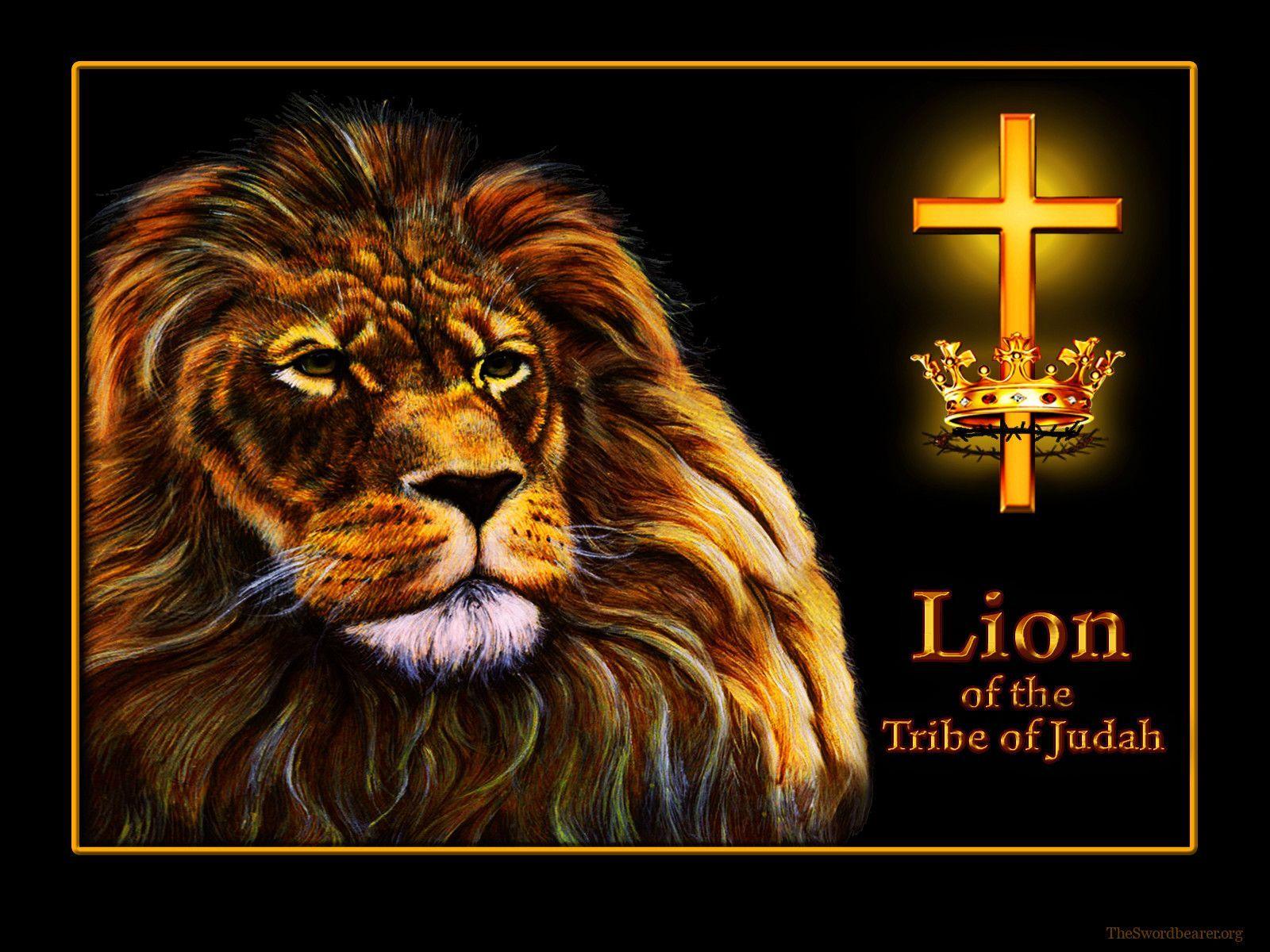 Lion Of The Tribe Of Judah Wallpaper