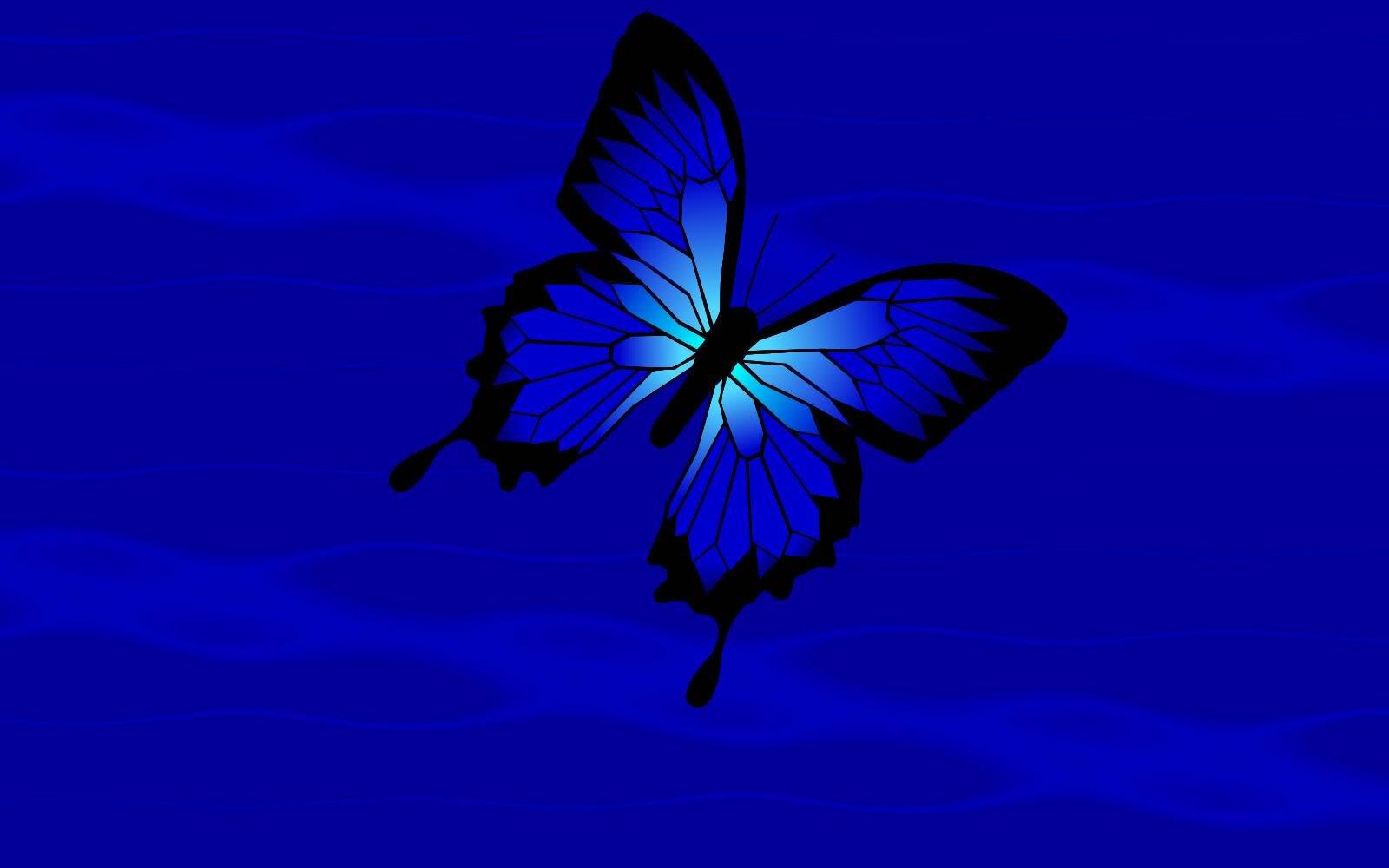 Cute Blue Butterfly Wallpaper in high definationFree