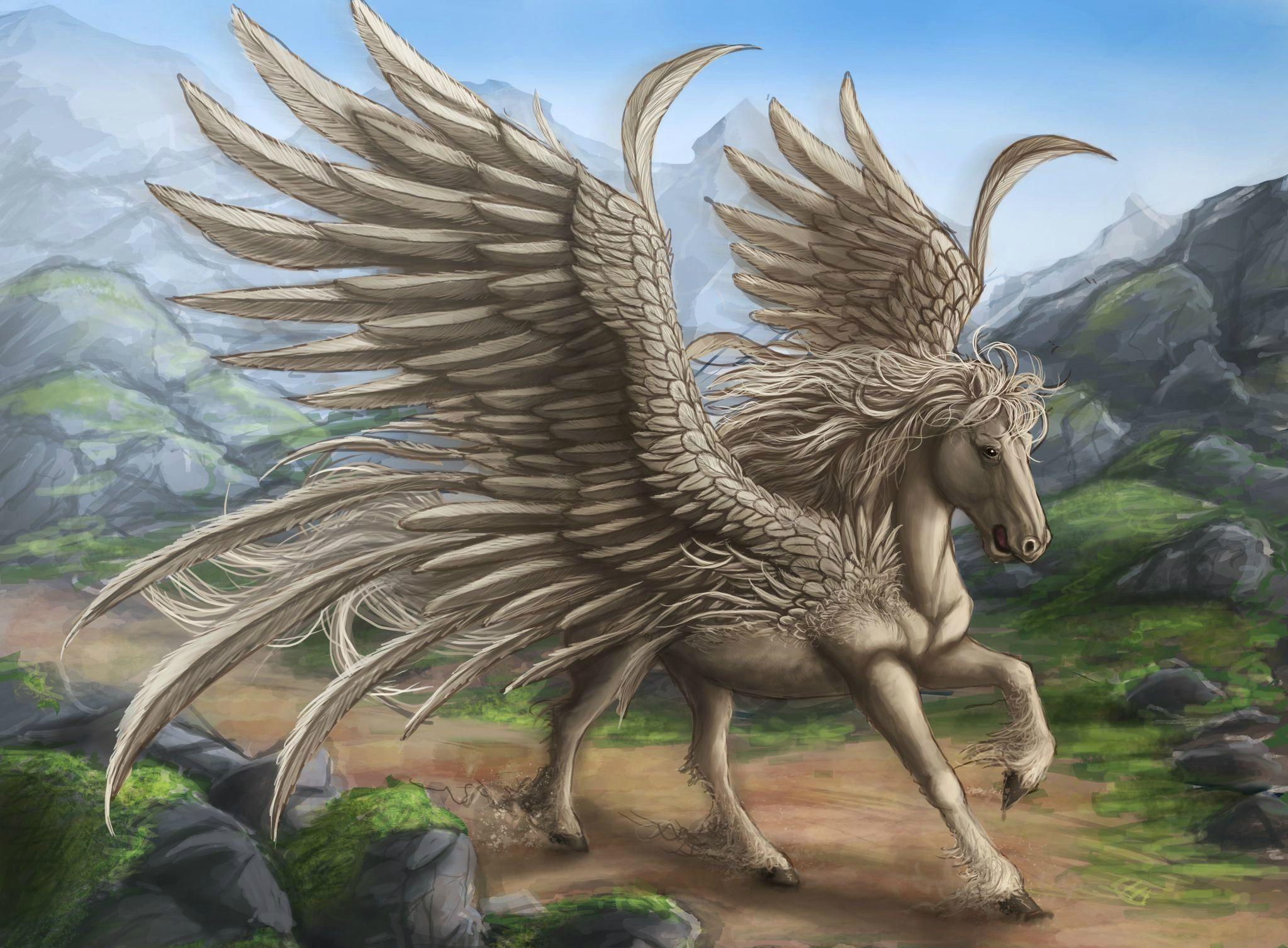 Fantasy Pegasus Wallpaper 2047x1508 px Free Download