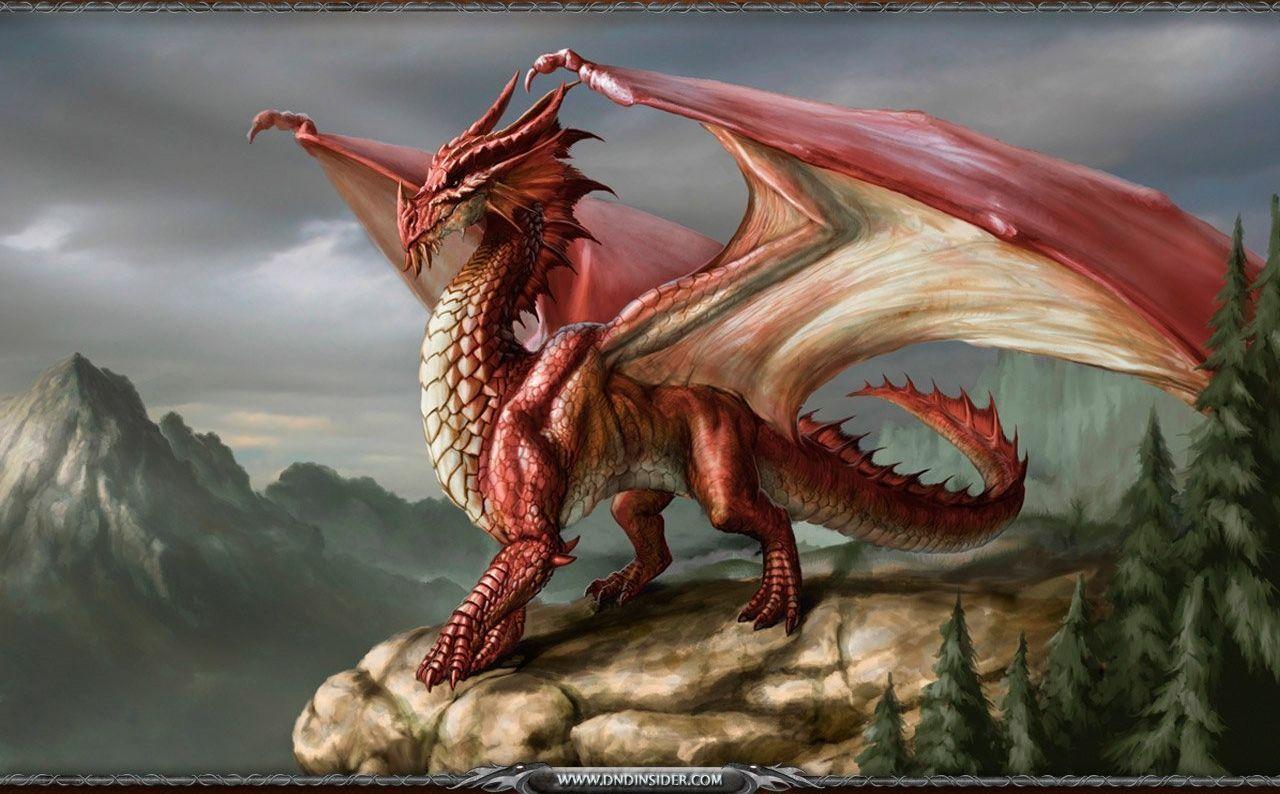 Red Dragon Image Wallpapers » Gallery Full HD Wallpapers Desktop