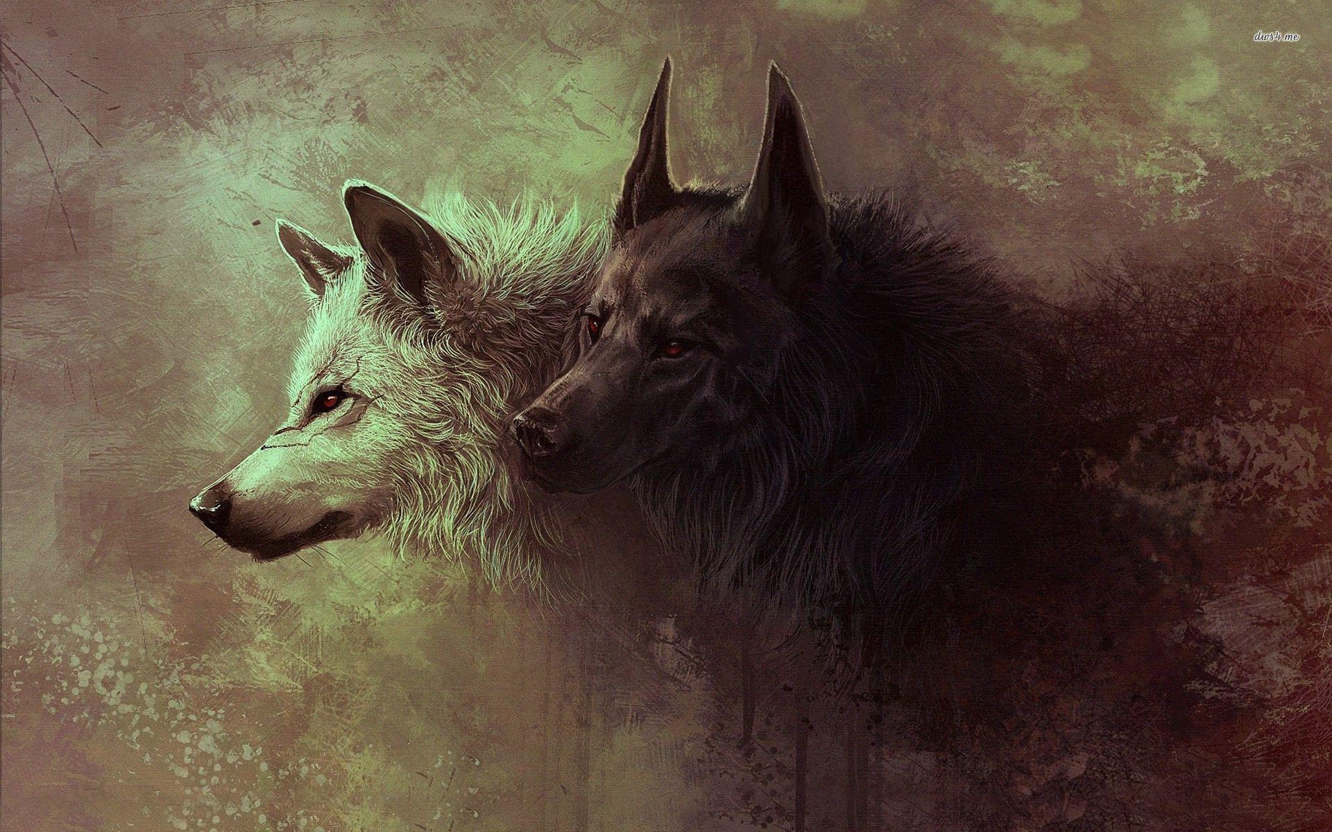 Black and white wolves wallpaper wallpaper - #